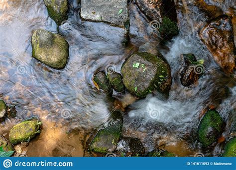 Water Flows Through Rocks Full Of Moss In The Stream Stock Image