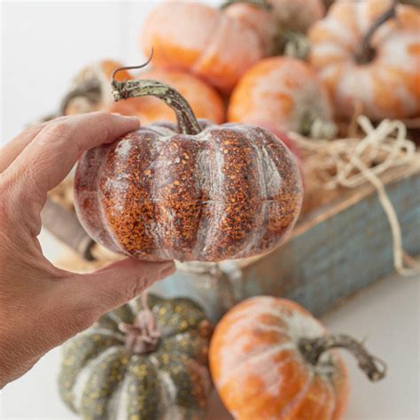 Assorted Frosted Pumpkins And Gourds Pumpkins Fall And