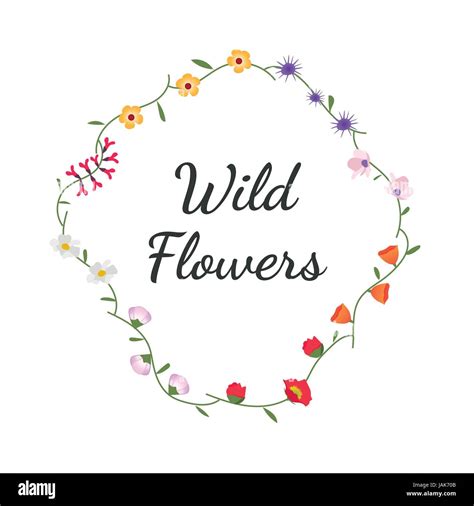 Variety Of Wild Flowers Vector Illustration Stock Vector Image And Art