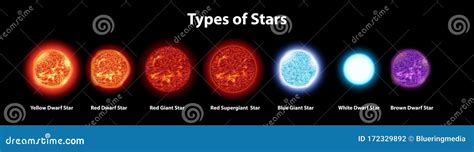 Diagrama Que Muestra Diferentes Tipos De Estrellas Ilustración Del