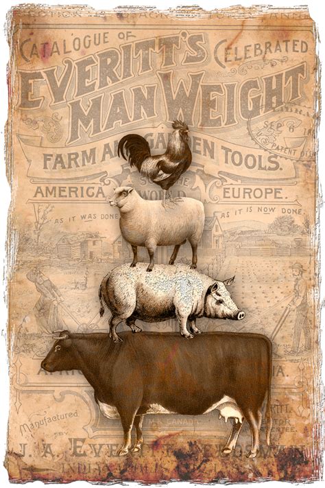 Bountiful Heirlooms: Free Printables: Vintage-style Farm Printables | Vintage labels printables ...