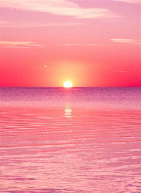 72 Hd Pink Sunset Wallpaper Free Download Myweb