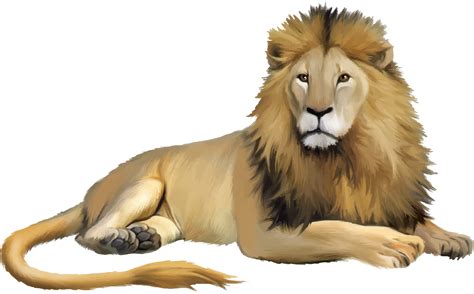 Lion Cartoon Lion Png Download 25861605 Free Transparent Lion
