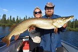 The lure of big-fish anglers happens North of 60 - The Globe and Mail