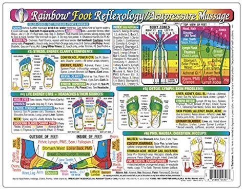 Rainbow® Foot Reflexology Acupressure Massage Chart In The Inner Light Resources Rainbow® Cards