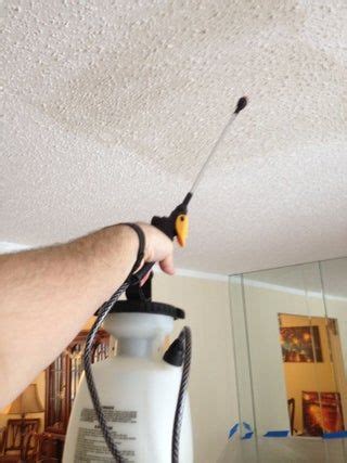 Remove all dust from the popcorn ceiling with either a vacuum, broom, or duct tape. Removing Popcorn Ceilings! | Removing popcorn ceiling ...