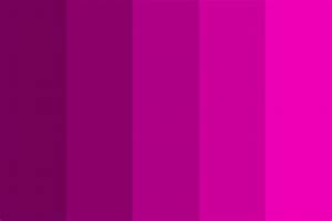 Magenta Shades Color Palette Colorpalettes Colorschemes Design