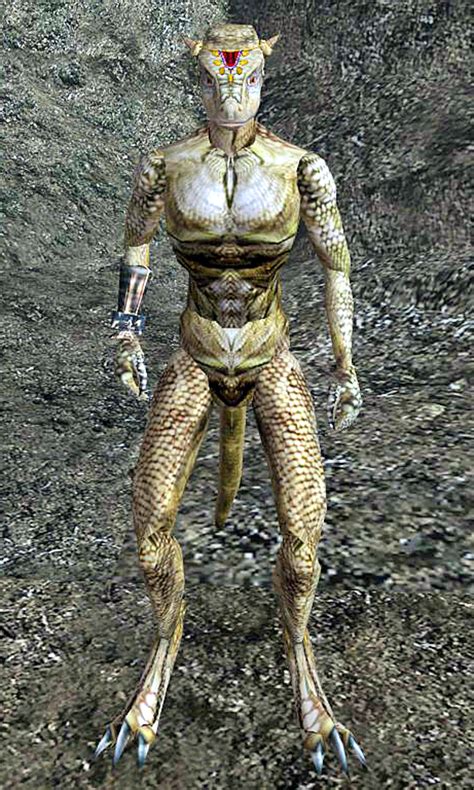 Neesha Morrowind Elder Scrolls Fandom Powered By Wikia