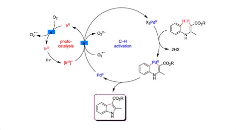 Proposed Mechanism For The Indole Synthesis Via Dual Catalysis