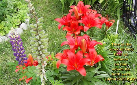 We did not find results for: Bible Quotes About Flowers. QuotesGram