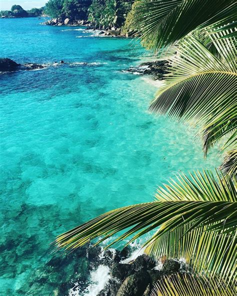 Collection by ailsag • last updated 11 days ago. Tropical Aesthetic Wallpapers - Top Free Tropical ...