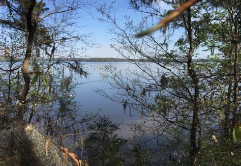Lake Talquin State Park Florida State Parks
