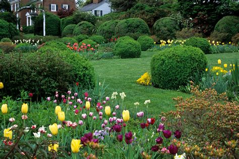 In fact, they serve as a reminder to never forget absent friends. Make Flowers Bloom—VIRGINIA Magazine