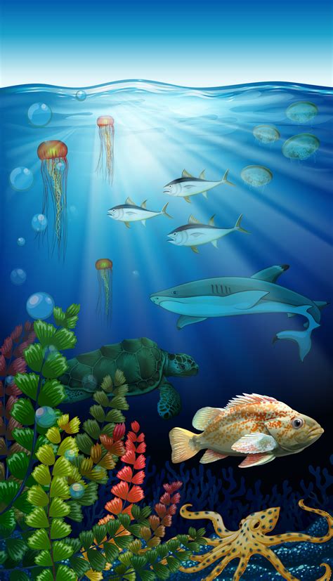 Sea Animals Living Under The Ocean Download Free Vectors
