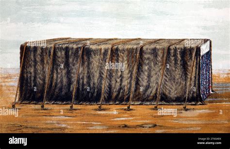 Illustration Of Outer Covering Of The Tabernacle Badgers Skin From The