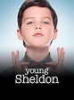 El joven Sheldon - Serie 2017 - SensaCine.com