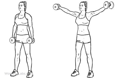 Dumbbell Lateral Raise Power Partials Illustrated Exercise Guide