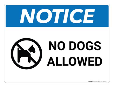 Notice No Dogs Allowed Wall Sign Wall Signs Wall Custom Sign