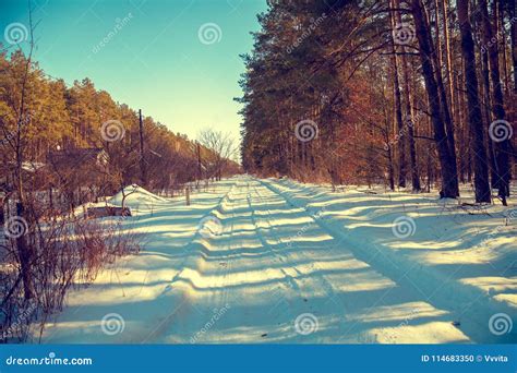 Dirt Road Cowered With Snow Rural Winter Landscape Stock Photo