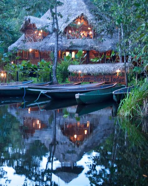 Sacha Lodge Parc Yasuni Amazonie Agence Itk Équateur