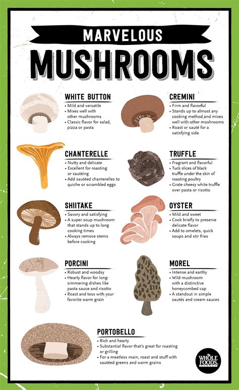 Different Mushrooms And How To Cook Them Stuffed Mushrooms Food
