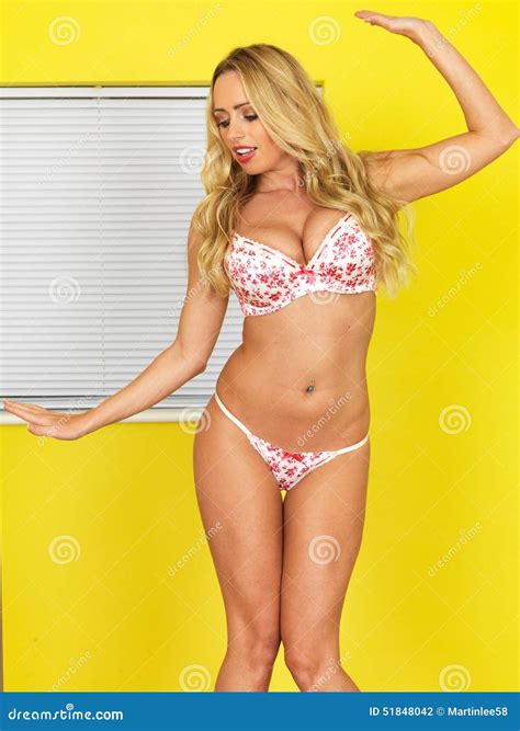 jeune pin up model sexy dans la lingerie photo stock image du beau lingerie 51848042