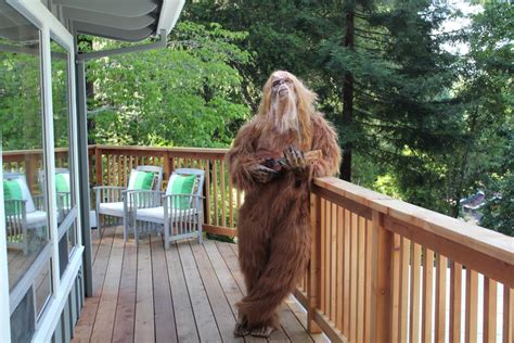 Bigfoot Found — Doing Yoga In A California Home