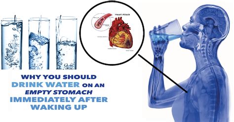 Why You Should Drink Water Immediately After Waking Up Holistic