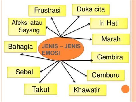 10 Macam Macam Emosi Yang Harus Diketahui Dan Pengendaliannya