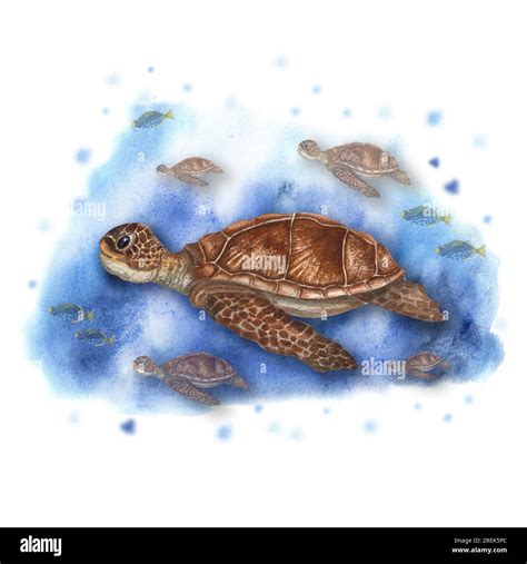 Watercolor Illustration With Cute Sea Turtles Swimming Underwater Among
