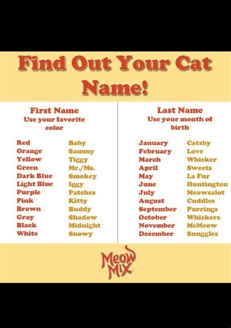 Find Your Cat Name Chanslau Is Ms Cuddles And You Funny Names