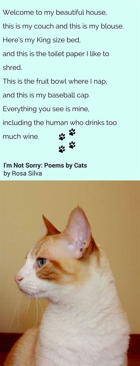 Book Im Not Sorry Poems By Cats Cat Poems Funny Cat Photos Cats