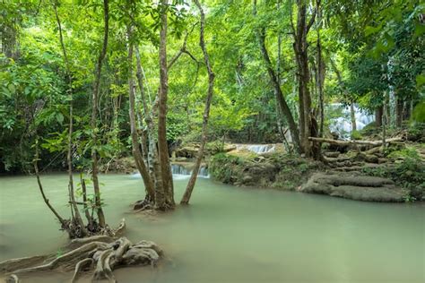 Naturaleza Verde Con Paisaje De Cascada Verde Foto Premium