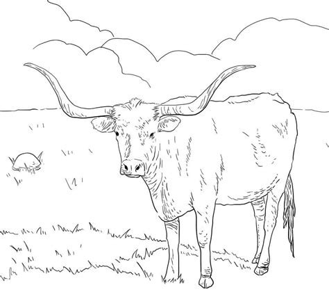 Vaca Texas Longhorn Para Colorear Imprimir E Dibujar Dibujos My XXX