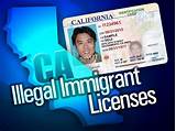 Images of Can An Illegal Immigrant Get A License