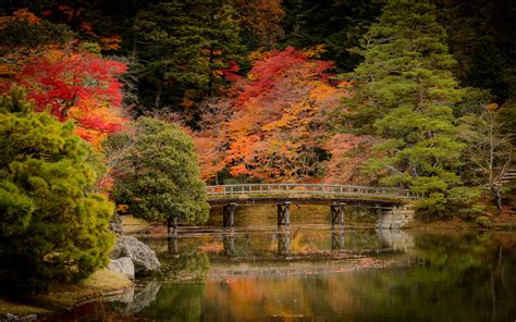Jeffrey Friedls Blog Revisiting Kyotos Fall Colors Shugakuin