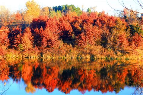 Why Do Leaves Change Color In The Fall Winneshiek County