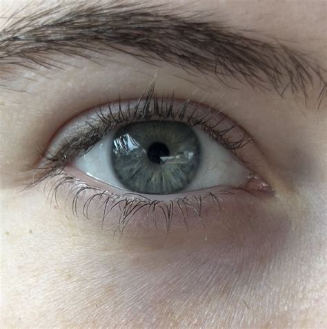 Erin🫶🏻 On Twitter Can Someone Pls Tell Me What Color My Fucking Eyes