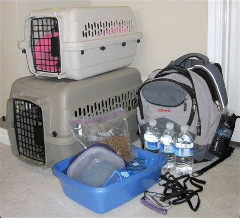 Evacuation Kit For Your Cat Pet Emergency Kit Evacuation Kit Pet