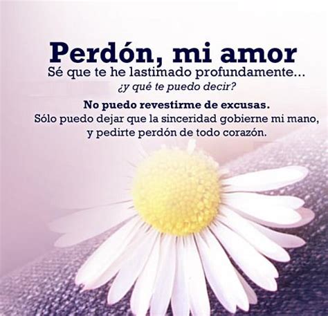 Total Imagen Frases De Perdon A Tu Novia Viaterra Mx