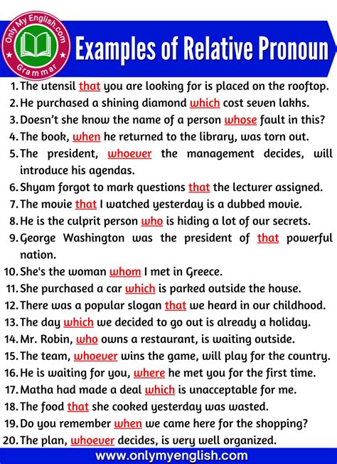 20 Examples Of Relative Pronoun In Sentences