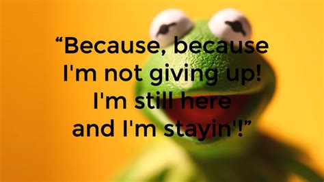 Kermit Tea Quotes Quotesgram