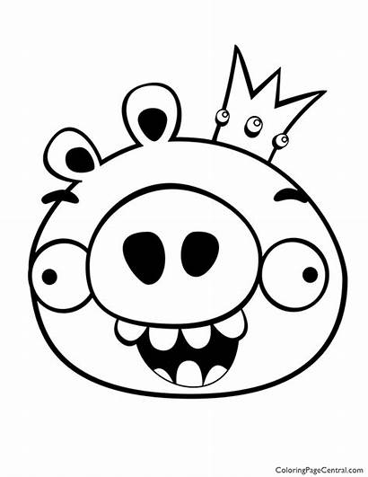 Angry Coloring Birds Pig King Pages Bird