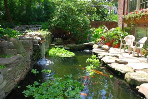 How To Set Up A Small Garden Pond