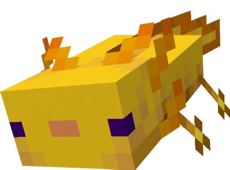 To kill an axolotl, you need to inflict 14 points of damage. Axolotls Replica Concept Minecraft PE Addon