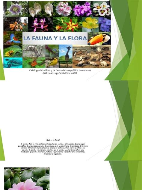 catalogo de la flora y la fauna de la república dominicana pdf flora arboles república