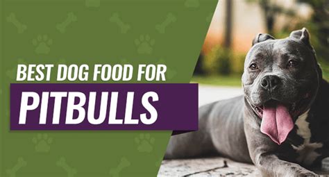 Stuff like dha — an important fatty acid that is found in their mother's milk. Best Dog Food for Pitbulls: 7 Picks for Puppies, Seniors ...