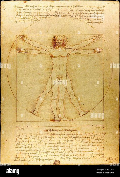 Disegno Di Leonardo Da Vinci Immagini E Fotografie Stock Ad Alta