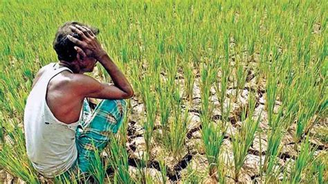 Farmers Protests Why Indias Agriculture Problems Are Much Deeper
