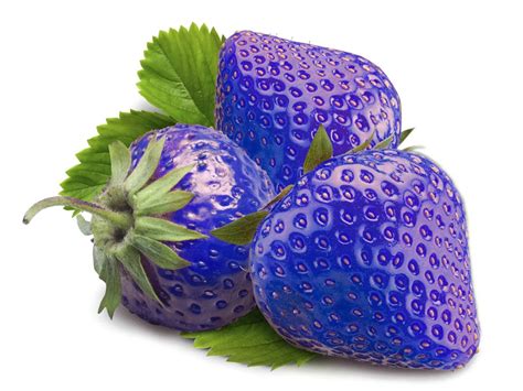 Tvoří šlahouny, na kterých po celou sezónu postuplně plodí. Jahody Blue 200 semienok. Poštovné ZADARMO! | Zásielkonoš